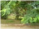 341 Agnes Street, The Range QLD 4700
