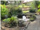 56 Ward Street, The Range QLD 4700