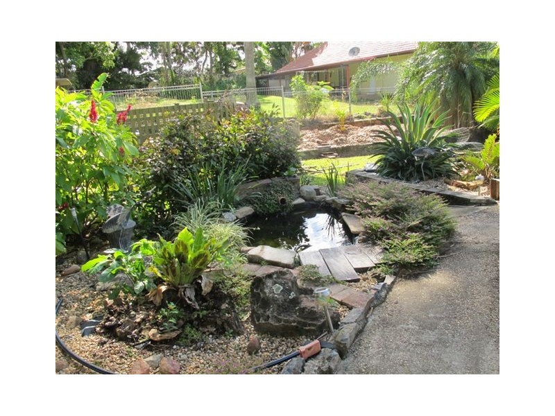 56 Ward Street, The Range QLD 4700