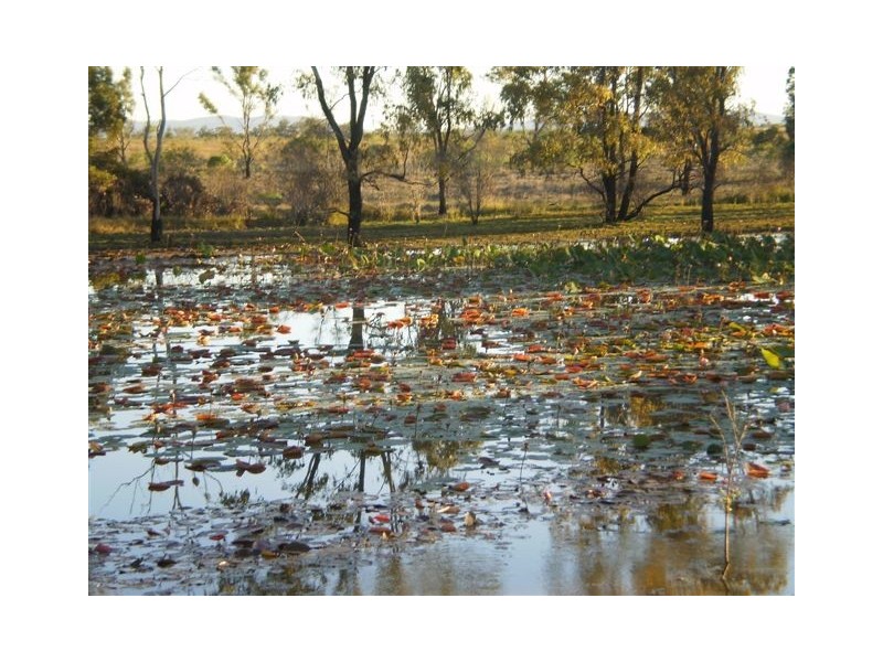 45 Seymour Road, South Yaamba QLD 4702