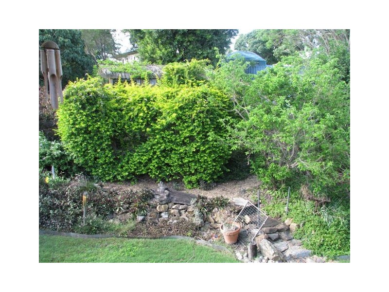 116 Park Street, Park Avenue QLD 4701