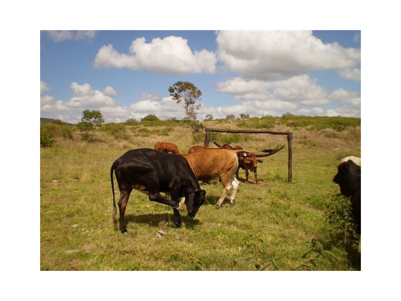 Lot 101 A Pierce Road, Ridgelands QLD 4702