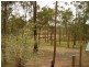 58 Budarick Road, Cawarral QLD 4702