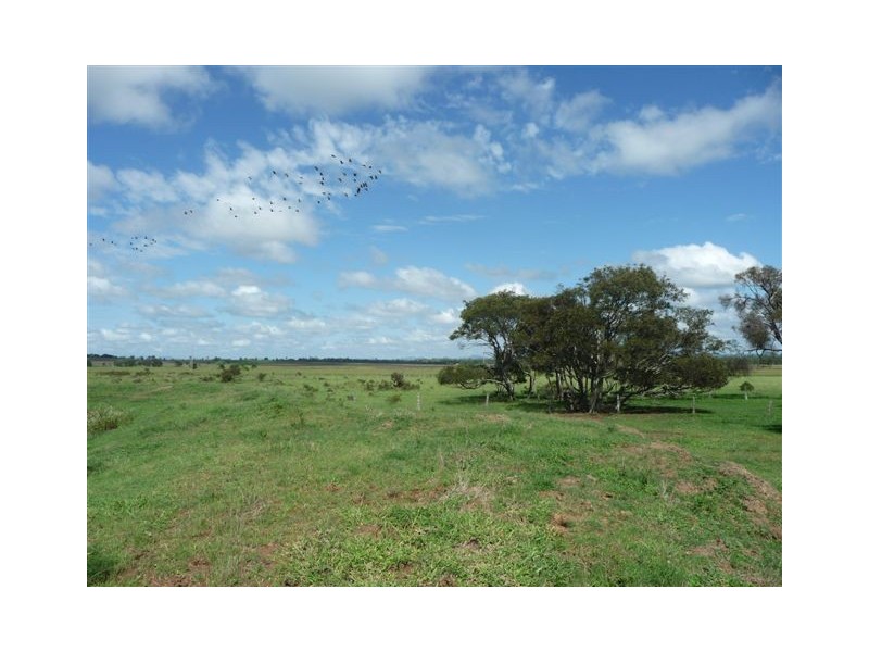 235 Milman North Road, Milman QLD 4702