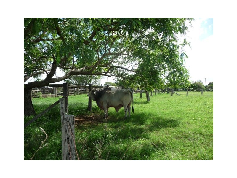 235 Milman North Road, Milman QLD 4702