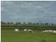 235 Milman North Road, Milman QLD 4702