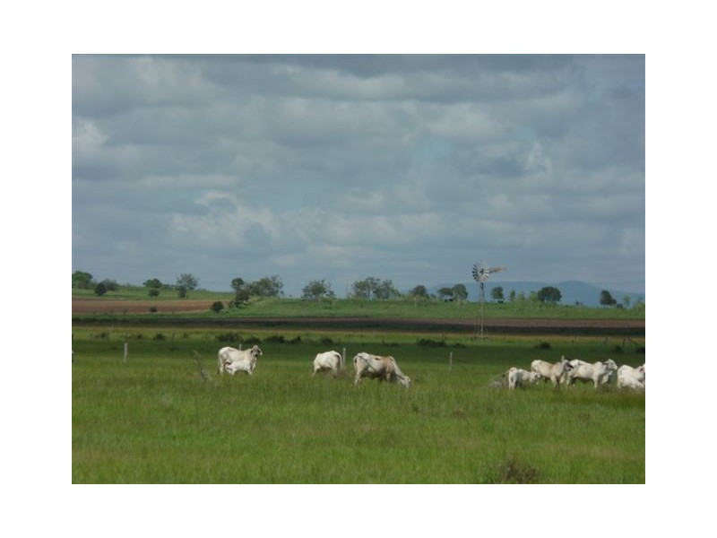 235 Milman North Road, Milman QLD 4702