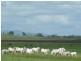 235 Milman North Road, Milman QLD 4702