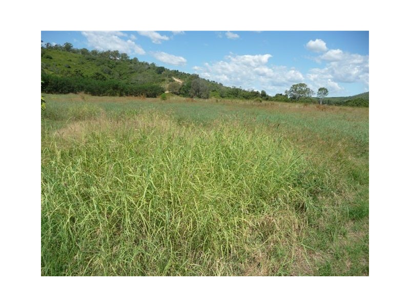Ambrose QLD 4695