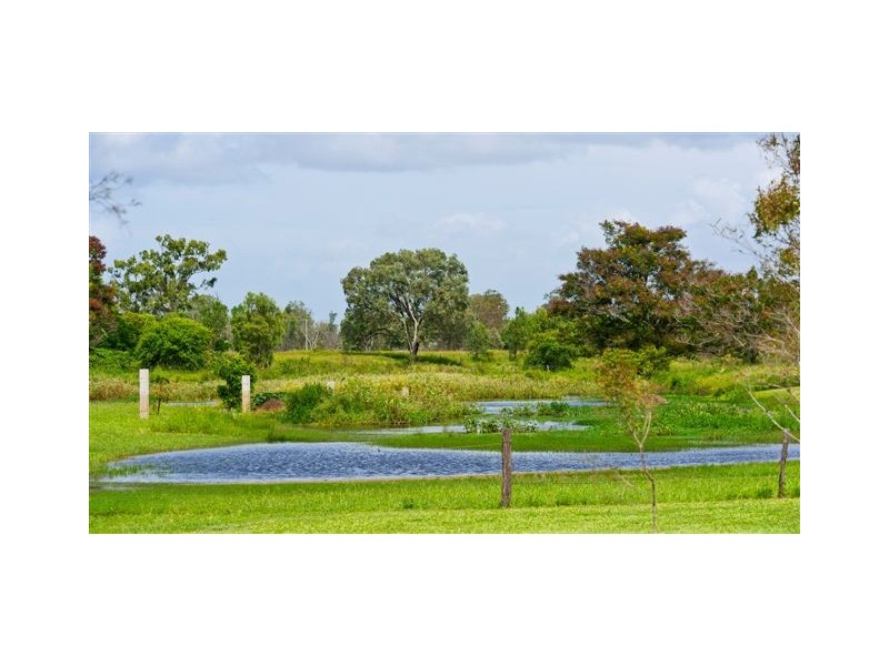 33 Burderkin Road, Nerimbera QLD 4701