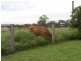 159 Arthur Street, Westwood QLD 4702