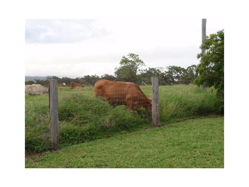 159 Arthur Street, Westwood QLD 4702