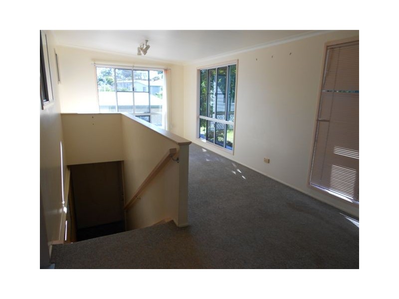 2 Sheedy Avenue, Frenchville QLD 4701