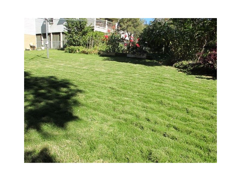 16 Ward Street, The Range QLD 4700