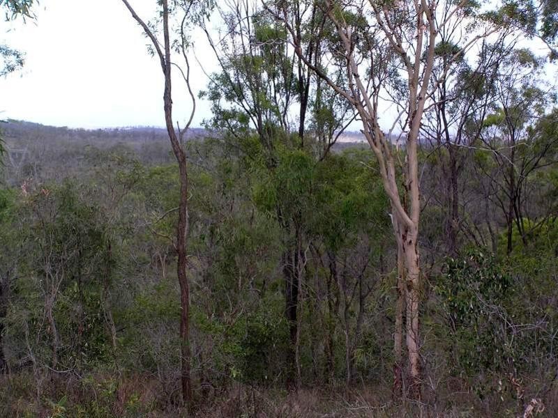 726 Aremby Road, Bouldercombe QLD 4702