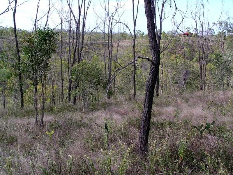 726 Aremby Road, Bouldercombe QLD 4702