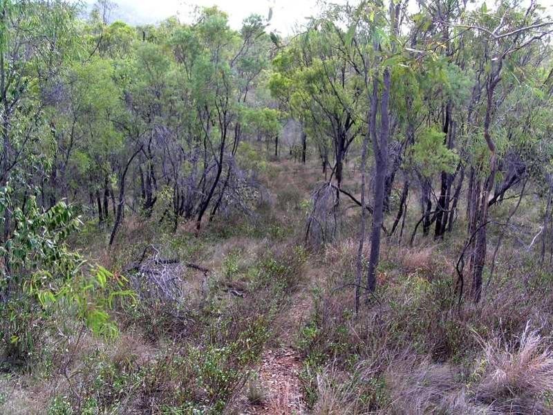 726 Aremby Road, Bouldercombe QLD 4702