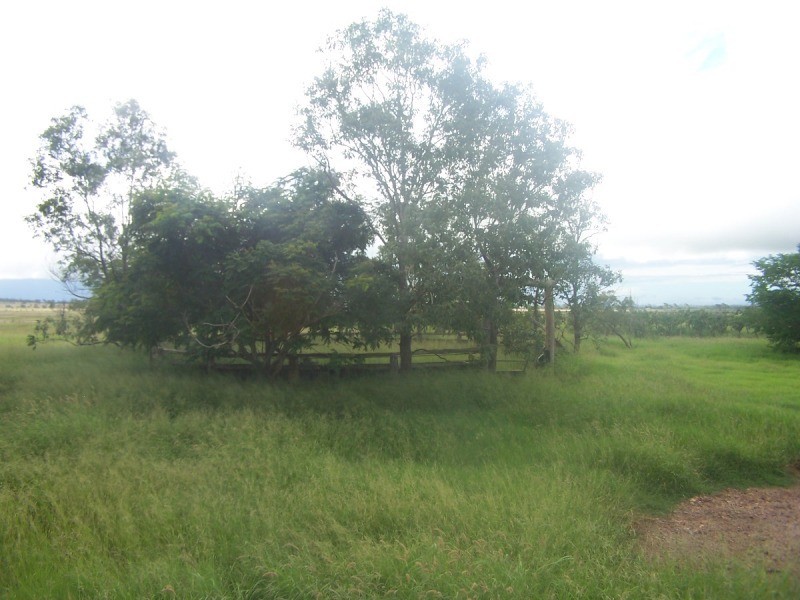 220 Pandora Road, Alton Downs QLD 4702