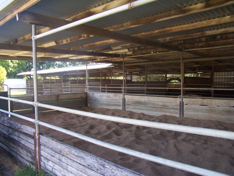 12  Nobbs Street, Berserker QLD 4701