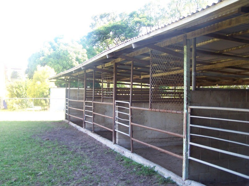 12  Nobbs Street, Berserker QLD 4701