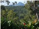 1658  Emu Park Road, Rockhampton QLD 4700