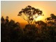 65 Forbes Avenue, Frenchville QLD 4701