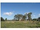 29  O’Connell Street, Depot Hill QLD 4700