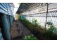 206  Talford Street, Allenstown QLD 4700