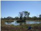 154 Black Gin Creek Road, Alton Downs QLD 4702