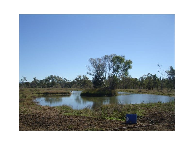 154 Black Gin Creek Road, Alton Downs QLD 4702