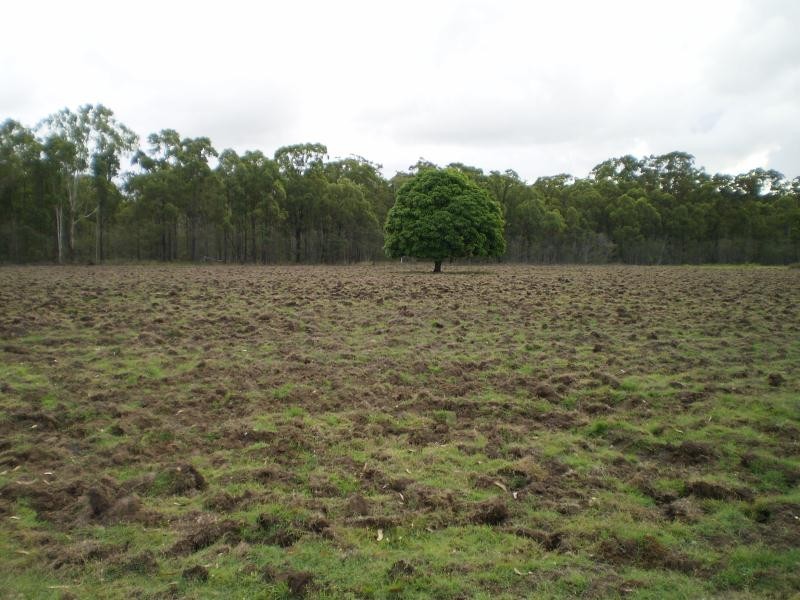 221 Tookers Road, Cawarral QLD 4702