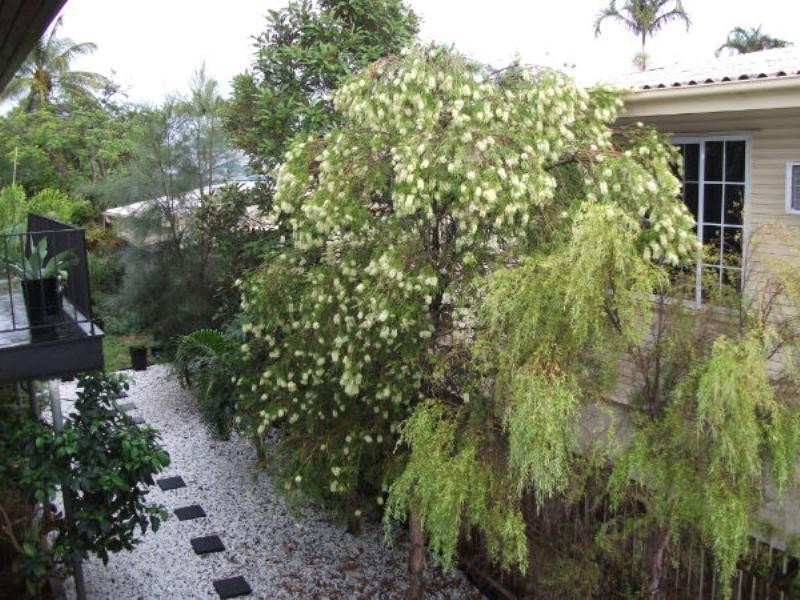 12 Agnes Street, The Range QLD 4700