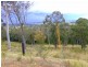 Paterson NSW 2421