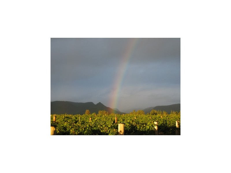 Milbrodale NSW 2330