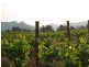Milbrodale NSW 2330
