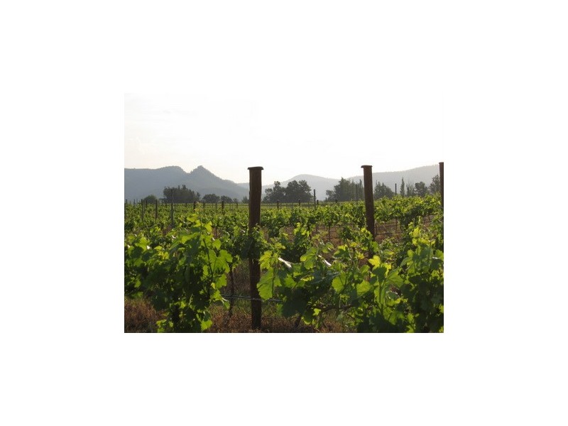 Milbrodale NSW 2330