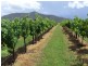 Milbrodale NSW 2330