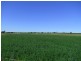 Singleton NSW 2330