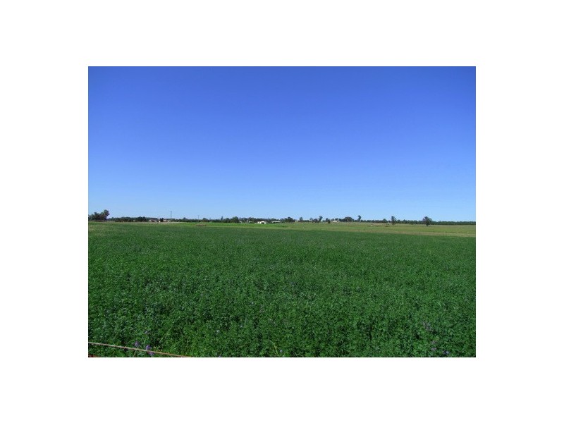 Singleton NSW 2330