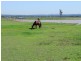 Singleton NSW 2330