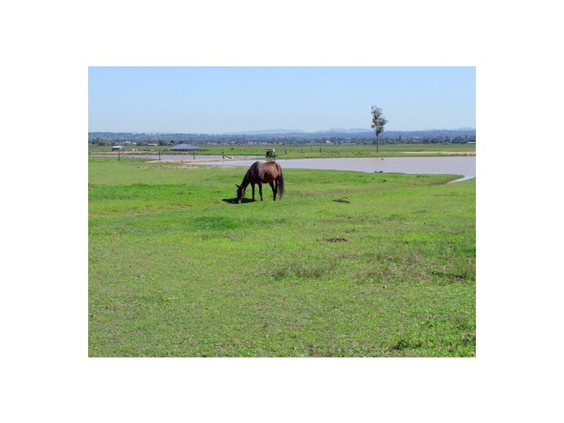 Singleton NSW 2330