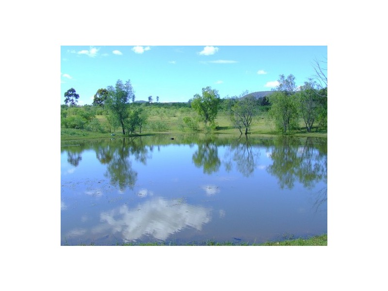 Jerrys Plains NSW 2330