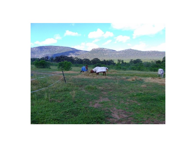Jerrys Plains NSW 2330