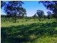 Jerrys Plains NSW 2330