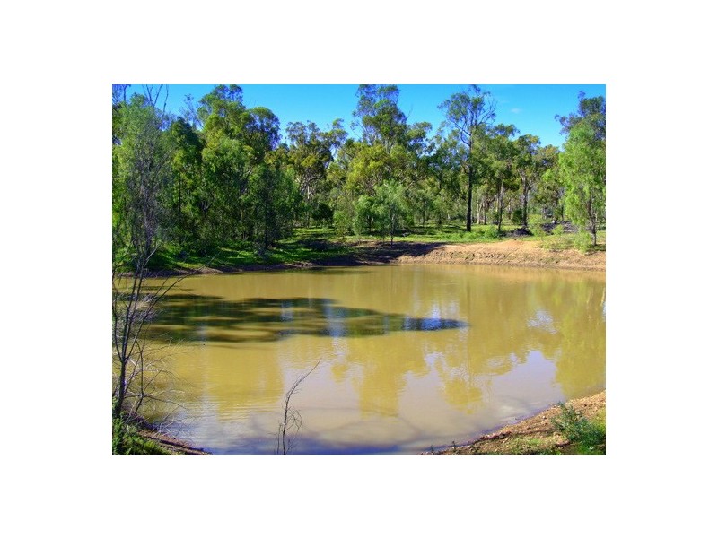 Jerrys Plains NSW 2330