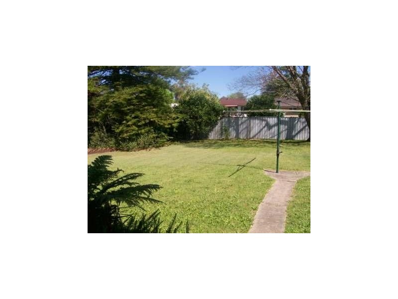 11 Doyle Street, Singleton NSW 2330