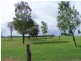 99 Long Point Road, Singleton NSW 2330