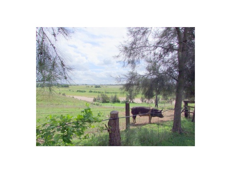 99 Long Point Road, Singleton NSW 2330