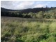 Bulga NSW 2330