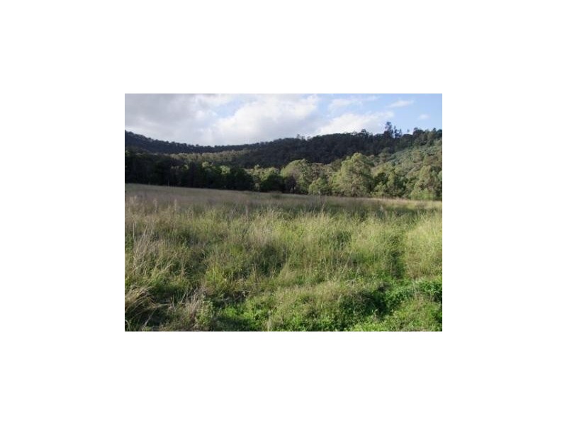 Bulga NSW 2330